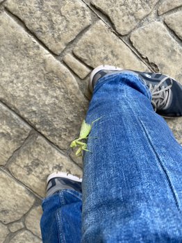 D1E99E69-235C-482D-96ED-C7F29169AD3B.jpeg