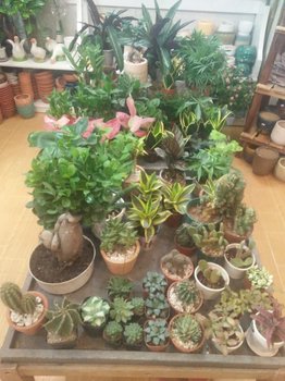 IMG20201024174605.jpg