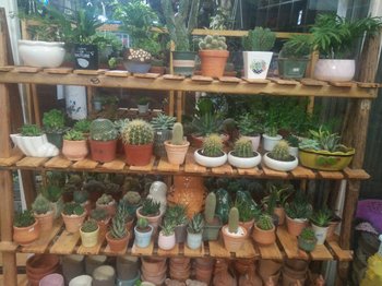 IMG20201024174616.jpg