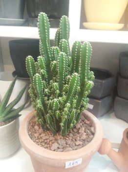IMG20201024174631.jpg