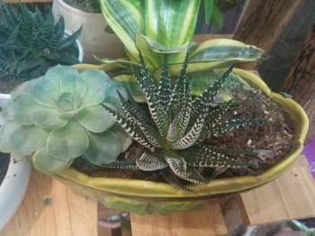 IMG20201024174653.jpg