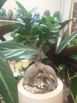 IMG20201024174756.jpg