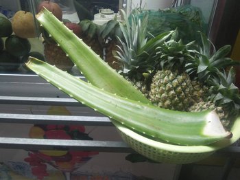 IMG20201024181648.jpg