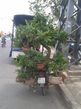 20200702_110611.jpg