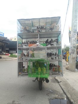 IMG20201009123824.jpg