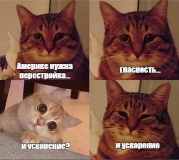 DD509EA0-E447-4A05-B33B-40FDF4A181B2.jpeg