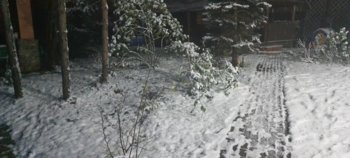 20201122_004508.jpg