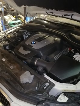 4e8ee23e-bfbd-41b5-914b-362ff40c71b3.jpg