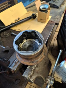 IMG_20201205_122031.jpg