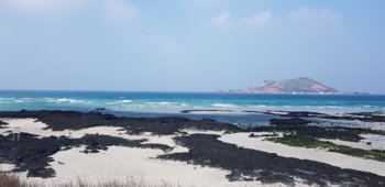 20201224_115338.jpg