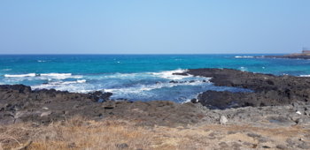 20201224_121607.jpg