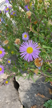 20201224_124921.jpg