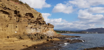 20201226_103903.jpg