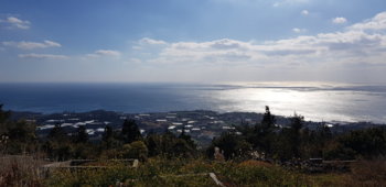 20201225_131650.jpg