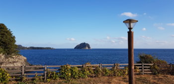 20201226_155005.jpg