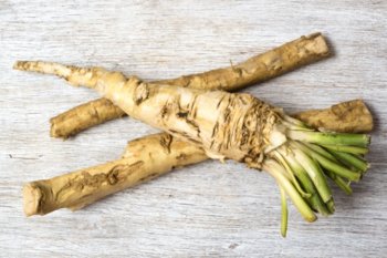 harvesting-techniques-horseradish.jpg.jpg