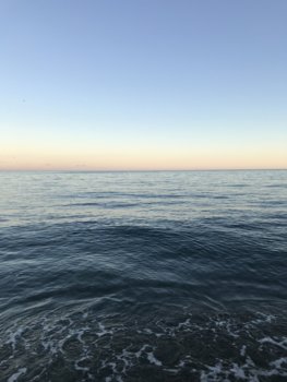D6906914-F57B-44C0-9197-A6979F5C4594.jpeg