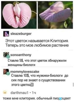 C033FEB8-E790-4E34-8B54-DFB1BFB699C8.jpeg
