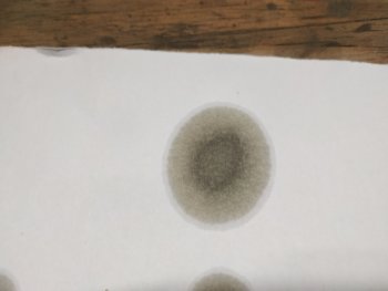 16105189296747006444130096240067.jpg