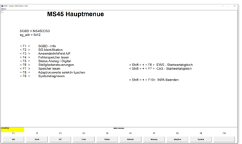 2021-01-20 21-18-41 INPA - Loader   MS45 Version 1.000.png