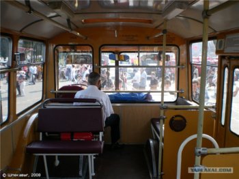 8666467.jpg