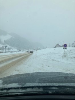 IMG_2071.jpg