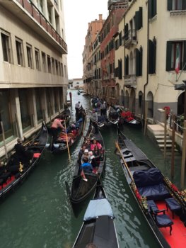 17467664-35E3-4049-A76A-553C8511DC54.jpeg