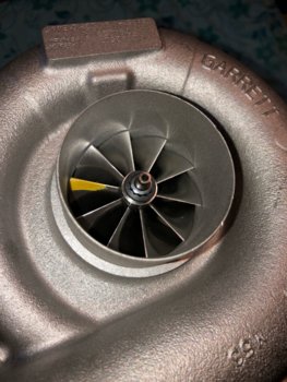 WGXRS7ZWDX8[1].jpg