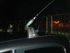 DSC09558.JPG