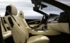 Merino leather Champagne - Interior trim, Olive Ash Red Brown.JPG