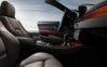 Merino leather Cohiba Brown - Interior trim, Eucalyptus Red Brownwood -1.JPG