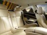 Merino leather Platinum with sting inlay in Merino Criollo Brown -1.JPG