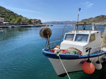 83BC9CE1-F737-45C1-BC2A-E31A9AEF6BEF.jpeg