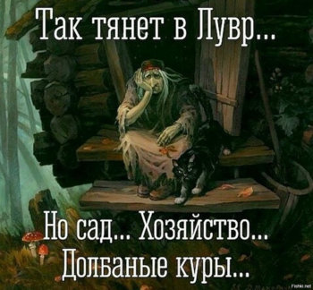 291541b232f13c13c84014ebf51835e3.jpg