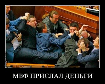 32qfsuyadi5z.jpg