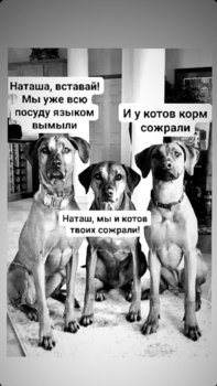 0ED1629A-6768-4DA2-B8DC-C81160A033DE.jpeg