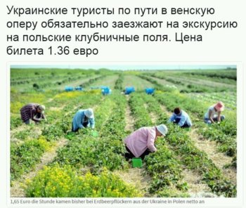 бнжйк.jpg
