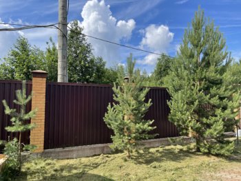 401BA74D-CFA5-48EB-BC49-26E29A32D4CA.jpeg