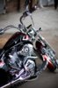 IMG_6304-4-6.jpg
