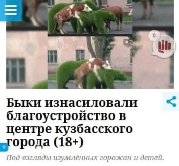 8965D1C6-7AAE-4AAA-9668-702A9ED36C2D.jpeg