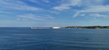 IMG_20210822_084141.jpg