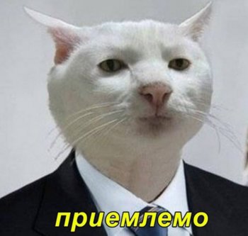 E2jl-QNXwAkazeX.jpg