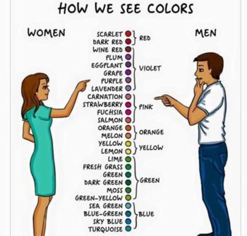 how we see colors.jpg