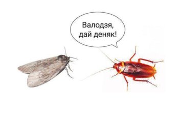 E9tFIFWXIAENXv4.jpg