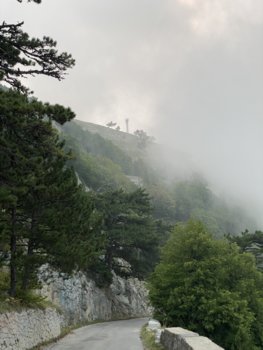 263C35AC-A0E0-4A5D-908C-D15D12D8AEB3.jpeg