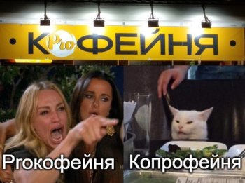 3685AA06-FD02-4D0E-9DED-8B052DAA7D9A.jpeg
