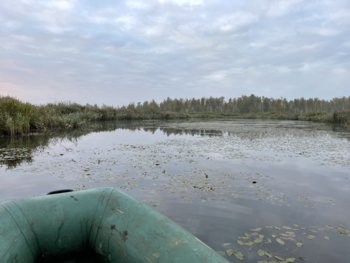 2021-09-25 06-39-15.jpg
