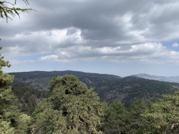 3E1D2293-A28D-4C85-B4A2-5854A4C6E65D.jpeg