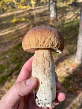 IMG_3560.jpg