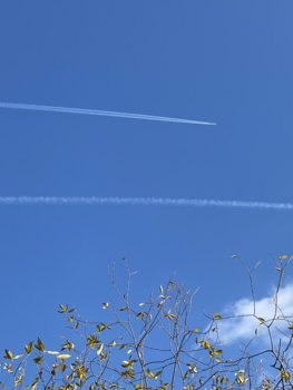 F9358594-4742-49D1-8E70-87ABDE5D69D6.jpeg